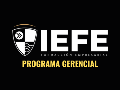 programa gerencial iefe